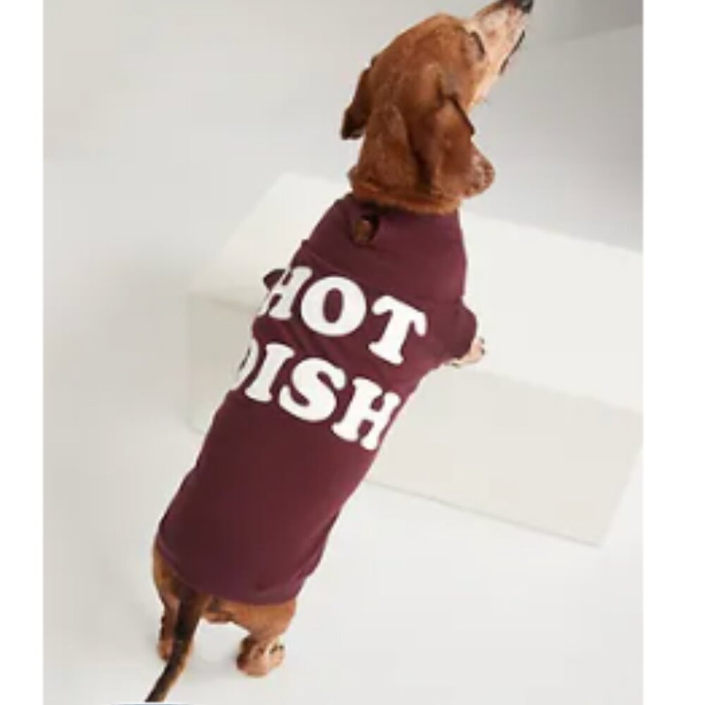 Hot Dish Holiday Printed Jersey-Knit T-Shirt for Pets Size Large